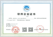 软件企业认证证书