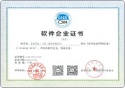 软件企业认证证书